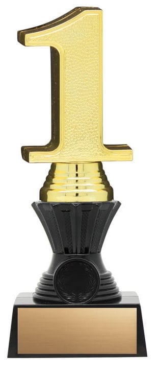 3-D Nexus Twister Gold 1st, Resin Award 8