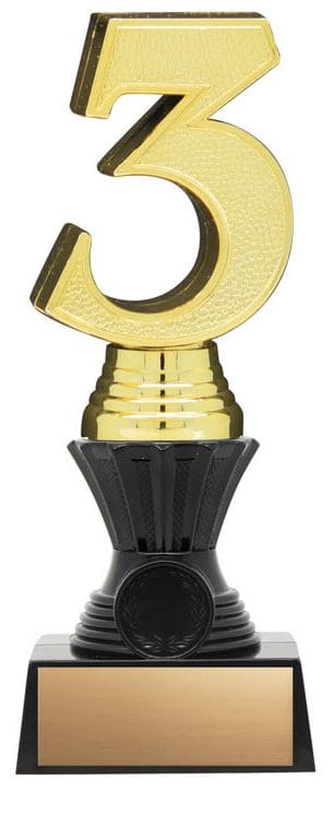 3-D Nexus Twister Gold 3rd, Resin Award 8