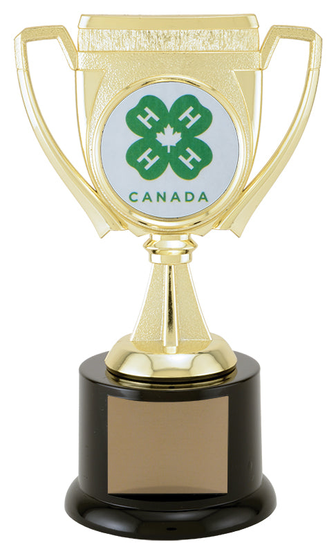 Challenge Cup 2” Holder Achievement