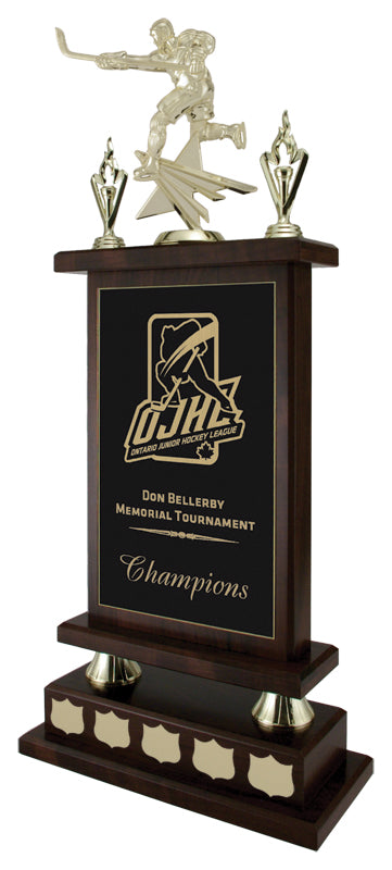 Citadel Cherrywood Annual Trophy