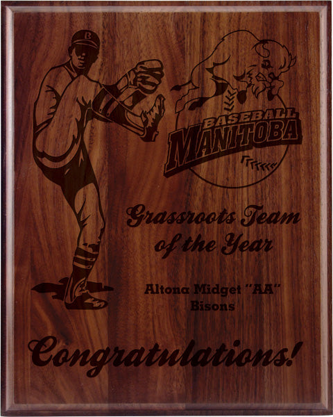 Traditional Laser Engraved Plaque