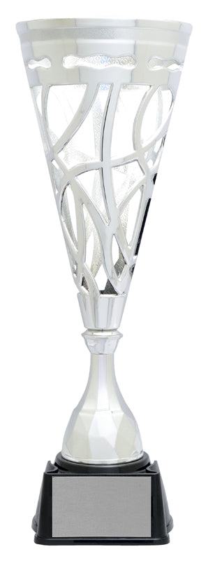 Xenon Cup, Silver