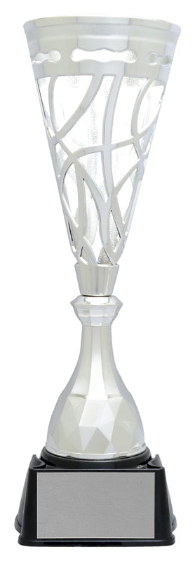 Xenon Cup, Silver