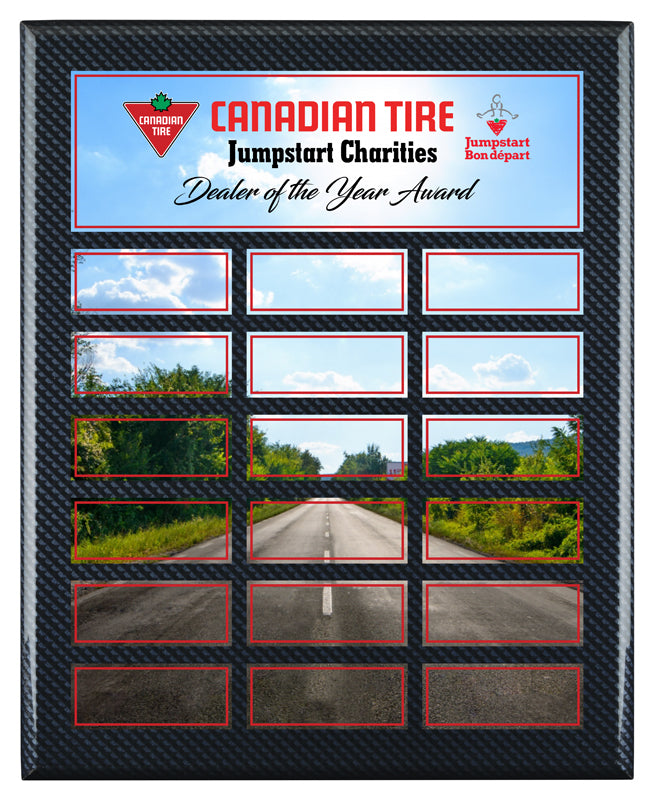 Carbon Fiber Sublimated Annual Plaque