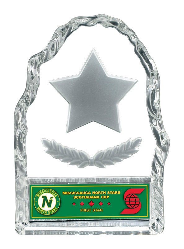 Challenger Iceberg Glass Award