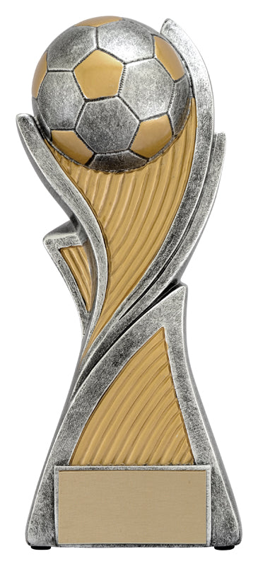 Hurricane Soccer Award