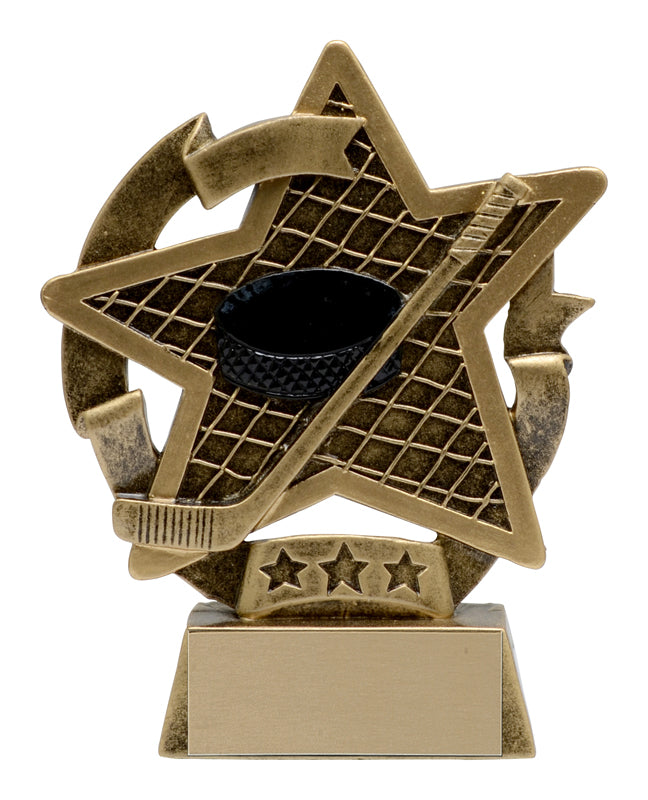 Star Gazer Hockey Award