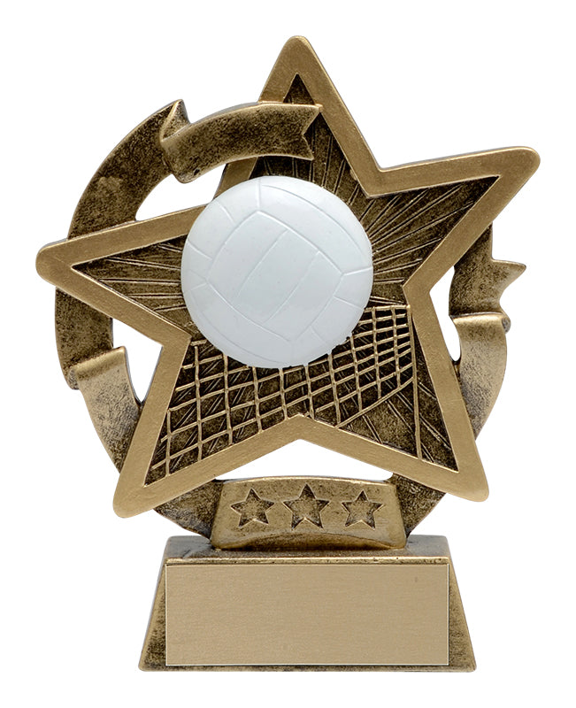 Star Gazer Volleyball Award