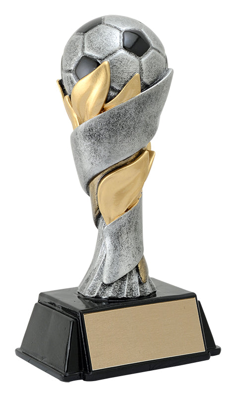 World Class Soccer Award