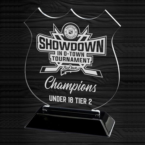 Shield acrylic award