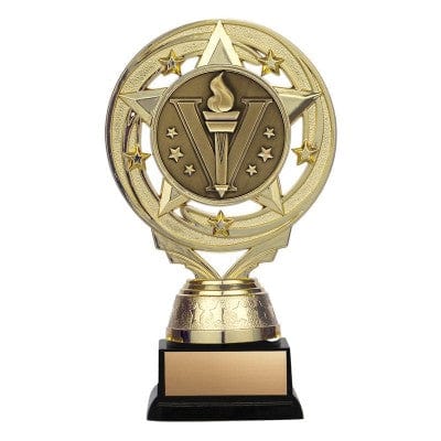 Matrix insert gold or silver Activity trophy 5 1/2 inch
