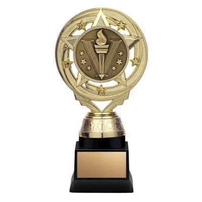 Matrix insert gold or silver Activity trophy 6 3/4 inch