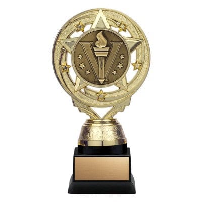 Matrix insert gold or silver Activity trophy 6 inch