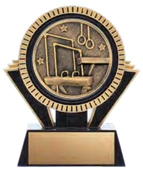 Apex Black Gymnastics Award 4 1/2