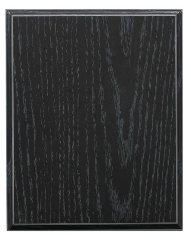 Apex Series Darts 5