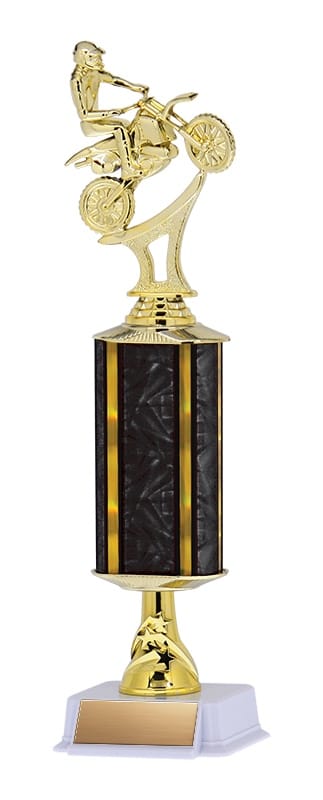 Aurora Series Trophy with Wide Column and Star Riser on White base, 14
