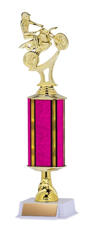 Aurora Series Trophy with Wide Column and Star Riser on White base, 14