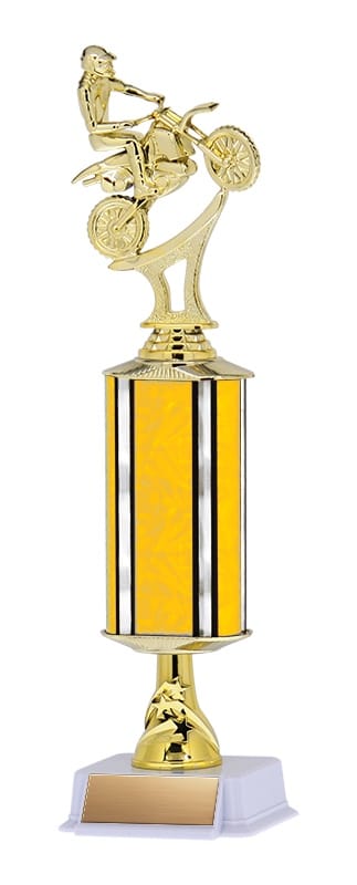 Aurora Series Trophy with Wide Column and Star Riser on White base, 14