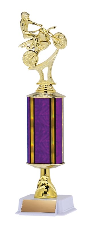 Aurora Series Trophy with Wide Column and Star Riser on White base, 14