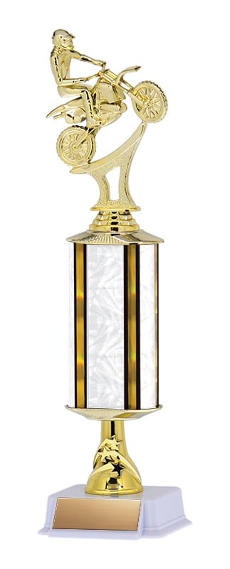 Aurora Series Trophy with Wide Column and Star Riser on White base, 14