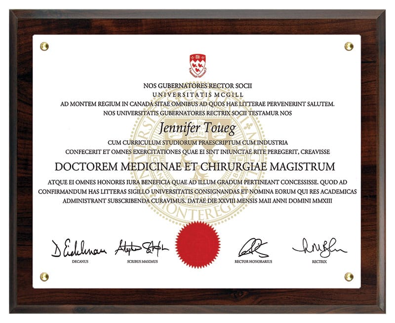 Cherrywood Certificate Holder (recessed) 10 1/2