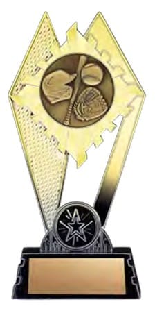 Citadel Gold Baseball Award 7