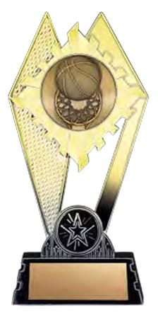 Citadel Gold Basketball Award 7