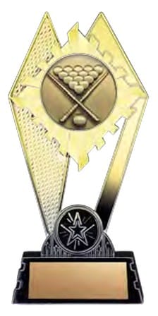 Citadel Gold Billiards Award 7