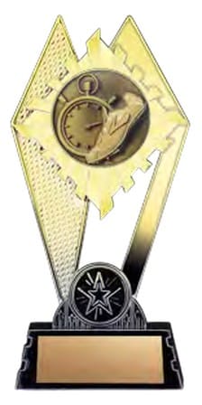 Citadel Gold Track Award 7