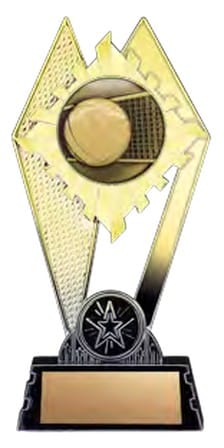 Citadel Gold Volleyball Award 7