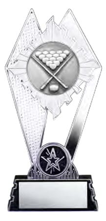 Citadel Silver Billiards Award 7