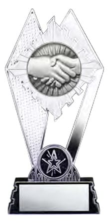 Citadel Silver Handshake Award 7