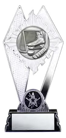 Citadel Silver Hockey Award 7
