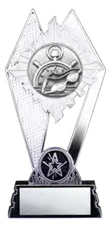 Citadel Silver Swimming Award 7