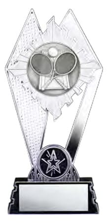 Citadel Silver Tennis Award 7