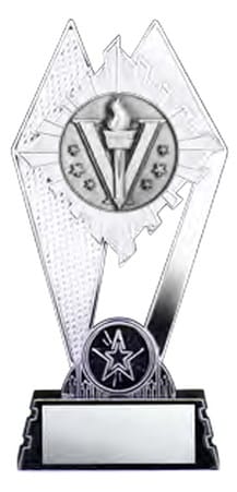Citadel Silver Victory Award 7