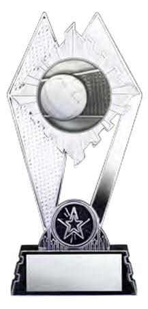 Citadel Silver Volleyball Award 7