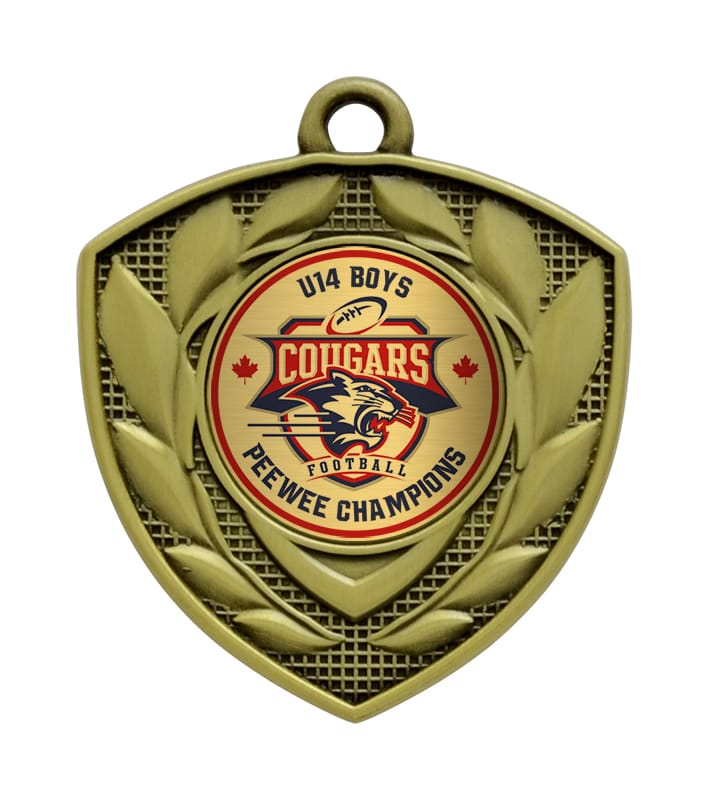 Defender Medals (A62421) Antique Gold / None Medal PDU
