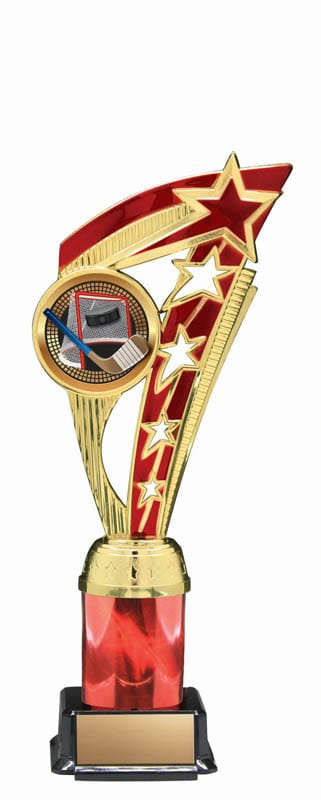 Energy Series Hockey Trophy, 10