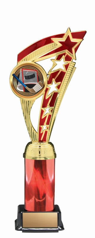 Energy Series Hockey Trophy, 11