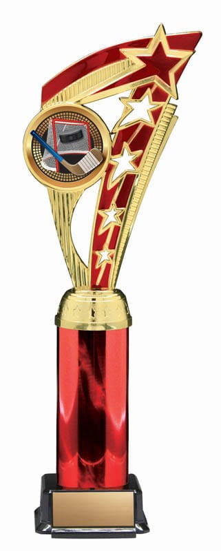Energy Series Hockey Trophy, 12