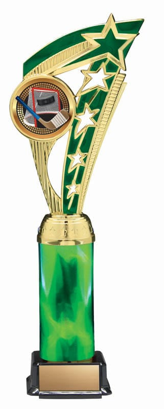 Energy Series Hockey Trophy, 12