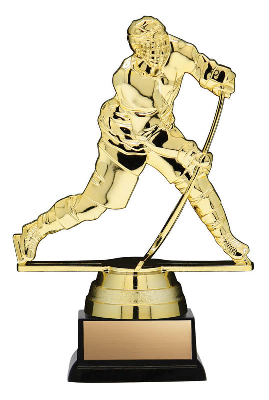 Hockey Award