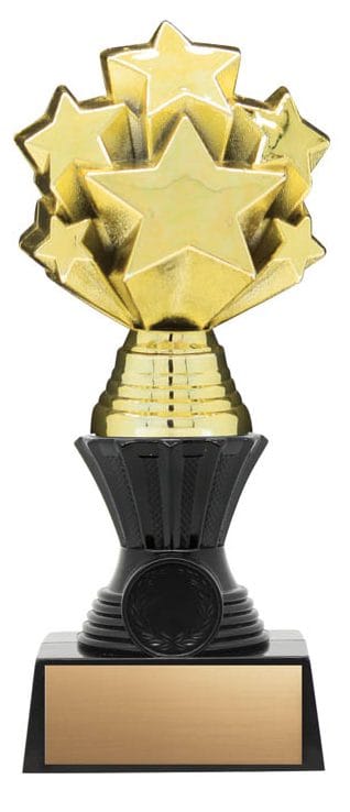 3-D Nexus Twister Gold Starburst, Resin Award 8