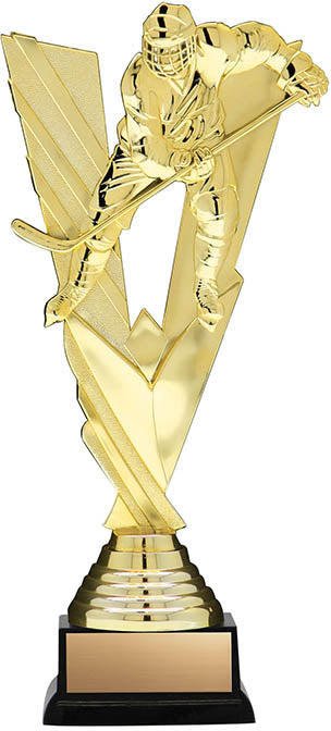 Hockey FVW Award