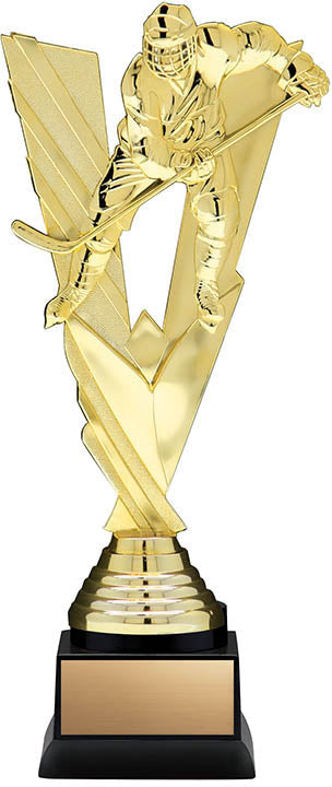 Hockey FVW Award
