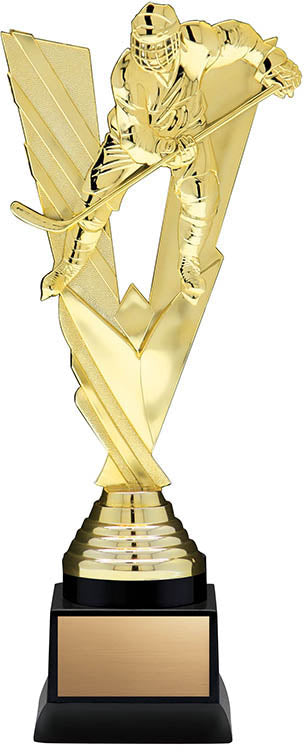 Hockey FVW Award