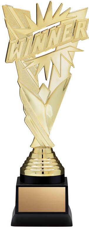 Basketball FVW Award
