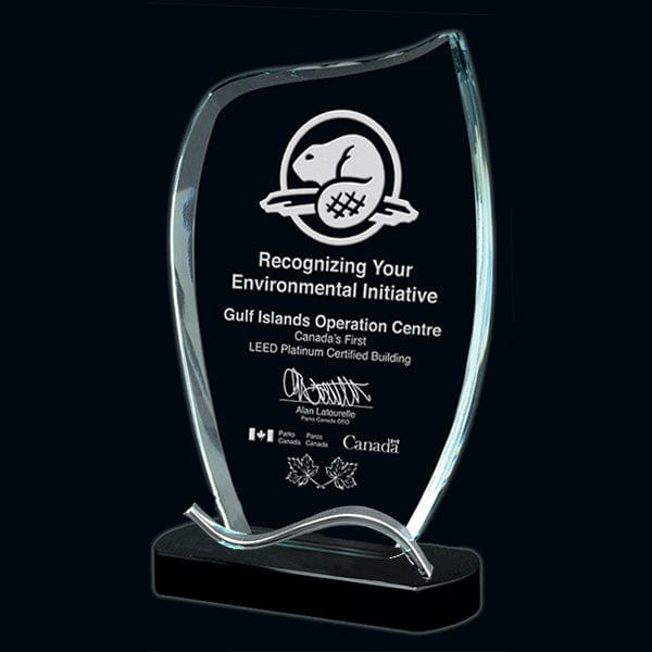 Amazon glass award