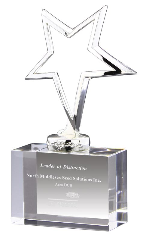 Polished Silver Star Award on Crystal Riser, 6.5